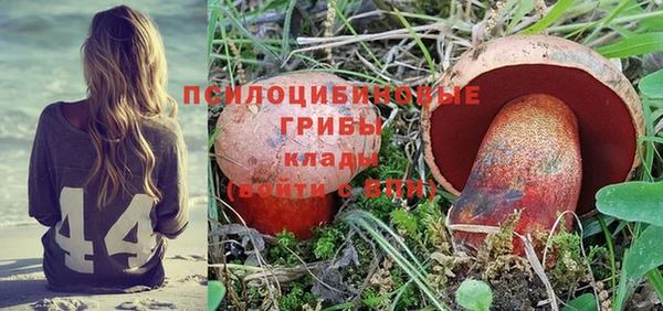 хмурый Зерноград